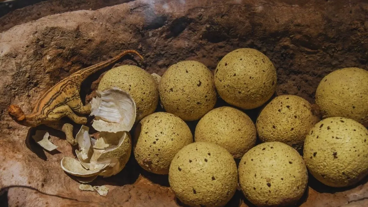 Titanosauruseieren ontdekt: een kijkje in het verleden van Guadalajara