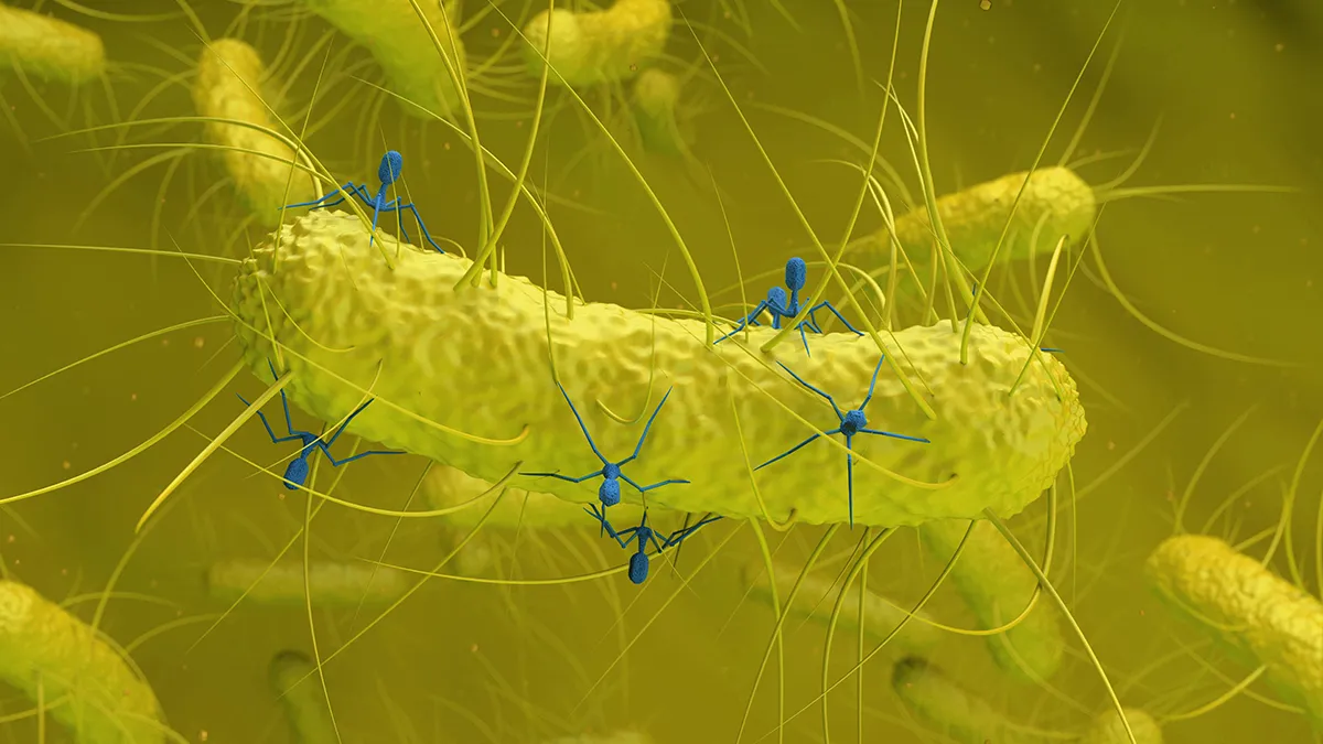 Nieuw virus gekoppeld aan darmbacteriën bij colorectale kanker