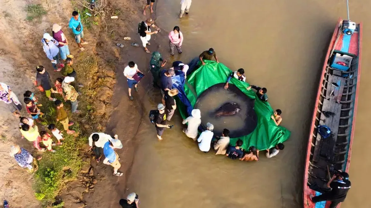 Wat wereldrivieren laten zien: de reuzen van de Mekong