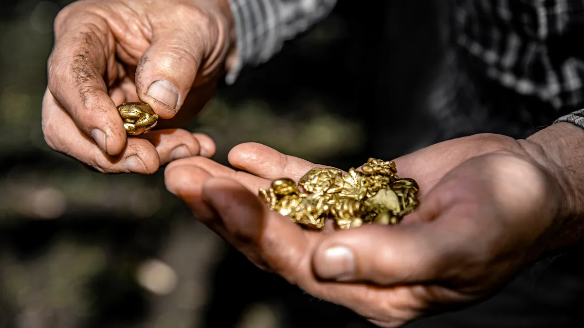 Meteorietontdekking in Maryborough: een kosmisch verhaal van meer dan 4,6 miljard jaar
